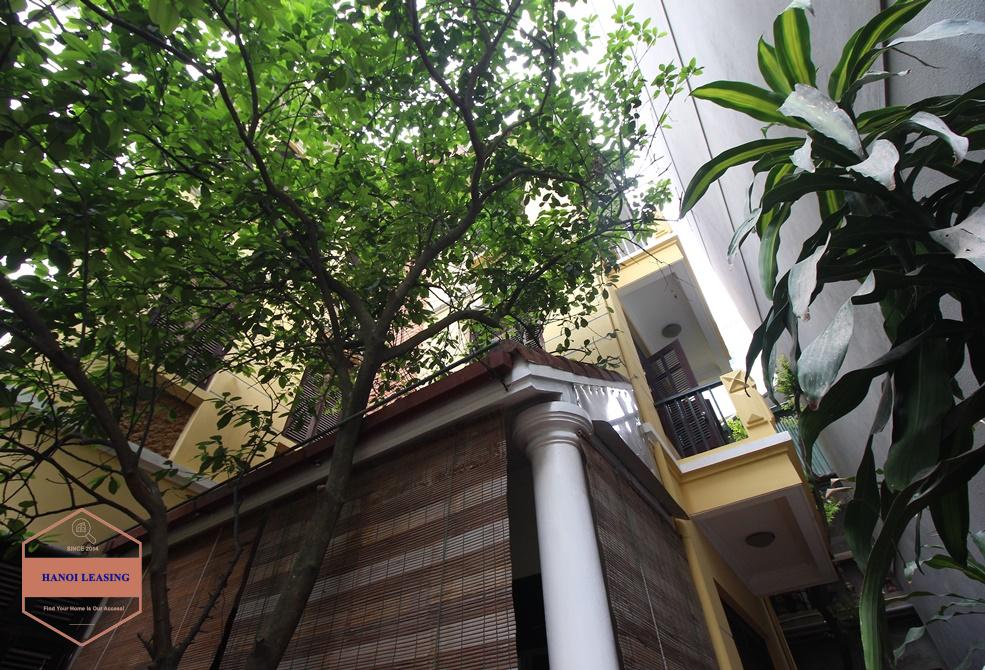 Nice 5 bedrooms houses for rent in Tay Ho district