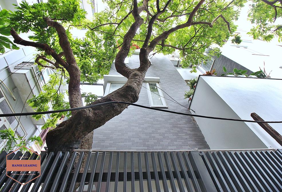 A cozy five bedrooms house for rent in Dang Thai Mai area, Tay Ho A cozy five bedrooms house for rent in Dang Thai Mai area, Tay Ho