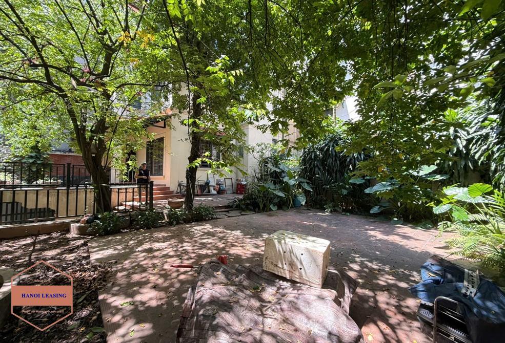 A huge garden house for rent in Au Co st, Tay Ho District A huge garden house for rent in Au Co st, Tay Ho District
